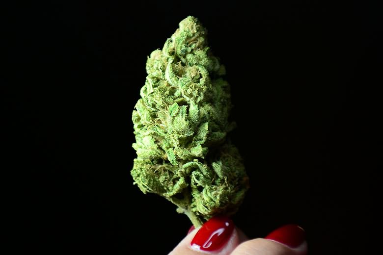 法国海关检获600多公斤大麻树脂
